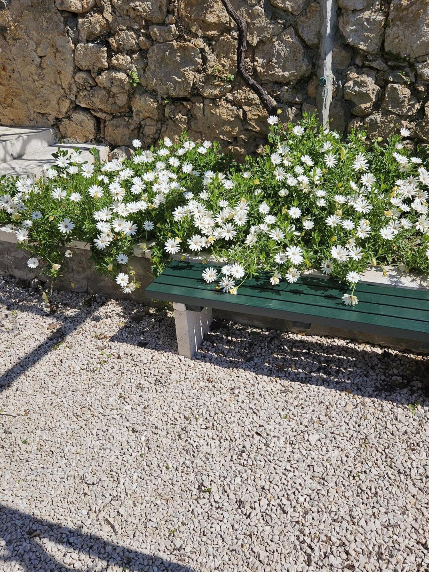 Apartment Marija Close To Old Town Dubrovnik Chambre photo